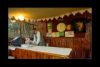 The Restaurant at the Camp - Sasan Gir