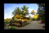 Camp View - Sasan Gir